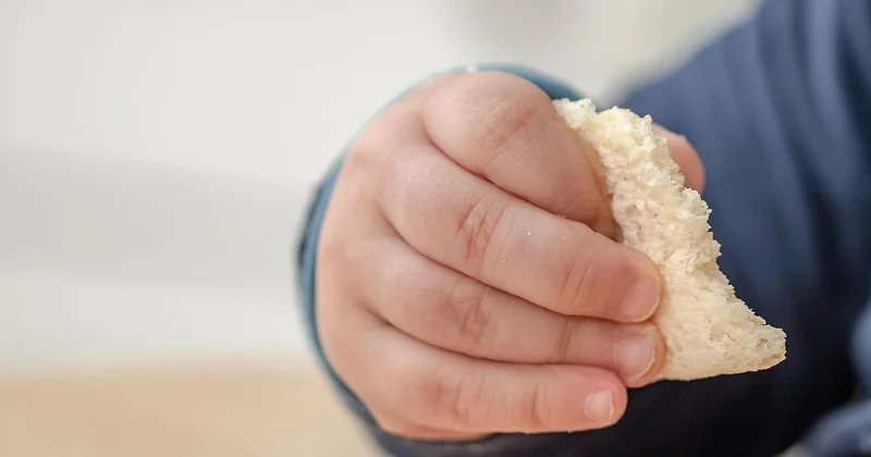 Au-delà des interdits : ce qui compte vraiment dans l'assiette d'un enfant de moins de 2 ans
