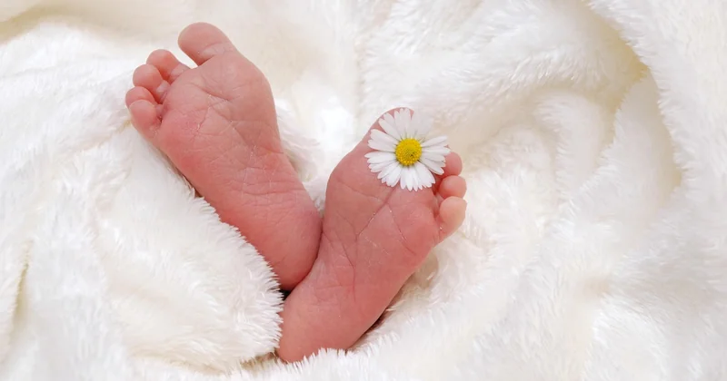 Minipouce face aux autres services de liste de naissance